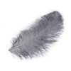 Pštrosí peří délka 60 cm (Varianta 9 bílá, Balení 1 ks)