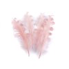 Husí peří kudrnaté délka 12-18 cm (Varianta 1 bílá, Balení 4 ks)