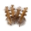 Husí peří kudrnaté délka 12-18 cm (Varianta 1 bílá, Balení 4 ks)