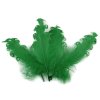 Husí peří kudrnaté délka 12-18 cm (Varianta 1 bílá, Balení 4 ks)