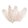 Husí peří kudrnaté délka 12-18 cm (Varianta 1 bílá, Balení 4 ks)