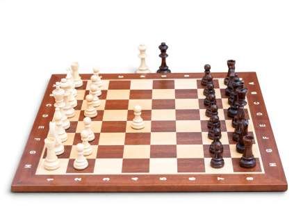 8945 5 drevene sachy lunaris