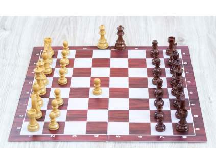 8972 3 sachova skladacia suprava staunton