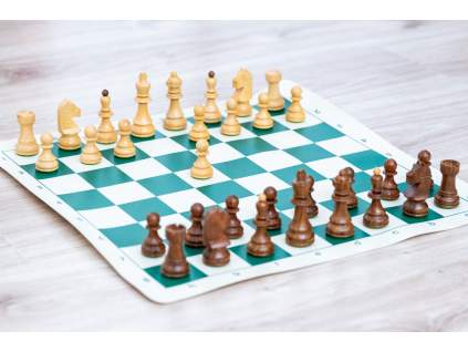 9347 3 sachy caissa extra