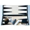 7556 3 backgammon v kufriku