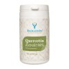 EVOLUTION QUERCETIN EXTRAKT 98% 60CPS