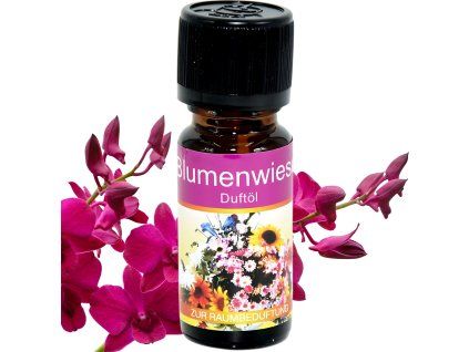 922CDA44 AC23 43F6 B1D1 E16F365725C9