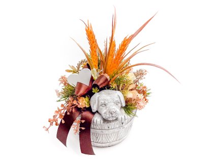 Aranžmá pro pejsky