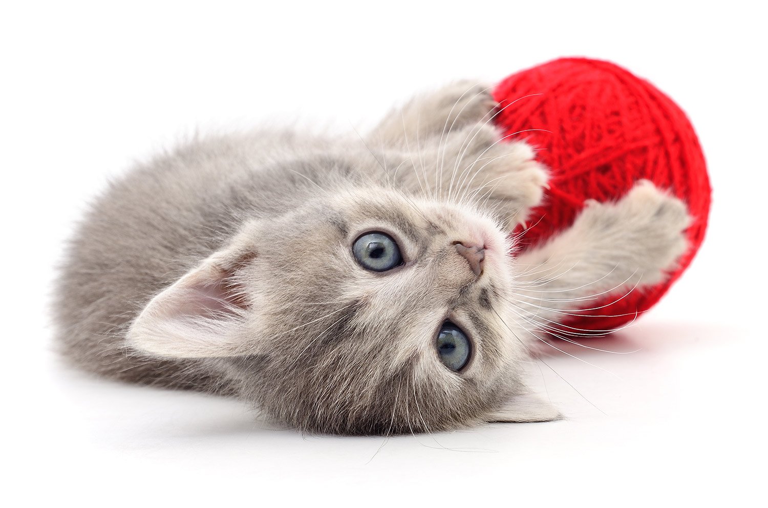 Pletení a háčkování