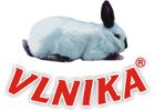 Vlnika