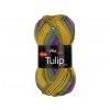 Tulip Color 5211