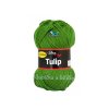 Tulip zelená 4456