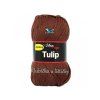 Tulip hnědá 4220