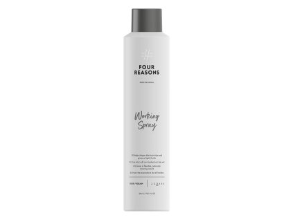 Four Reasons Professional Working Spray muotoilusuihke