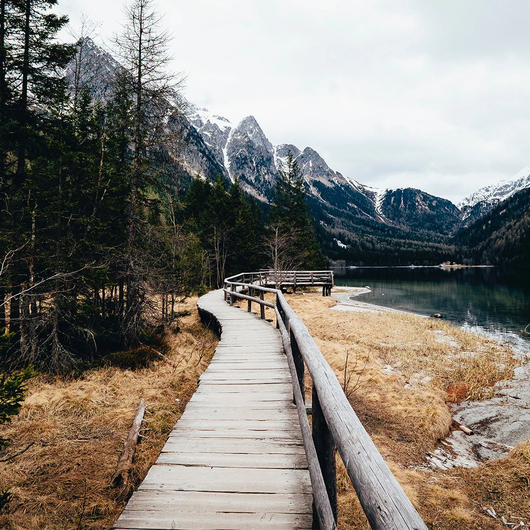 ezgif-4d8b33fa92245b5b