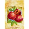 wb envelope sachet pomegranates fs200157