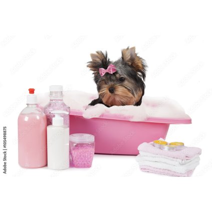 Perličková masáž a SPA procedury