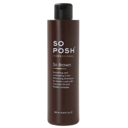 so posh so brown shampoo 250ml