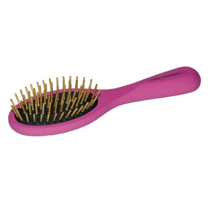 Chris Christensen Dřevěný kartáč malý barevný (Wood Pin Brush Small Satin Finish)