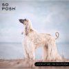 so posh oh dog its a miracle intensive repair mask 500ml2