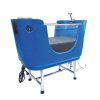 bathtube on feet hydrotherapy spa blue h 118b agc selection