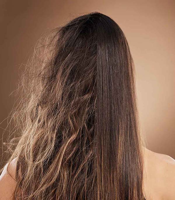 damaged hair