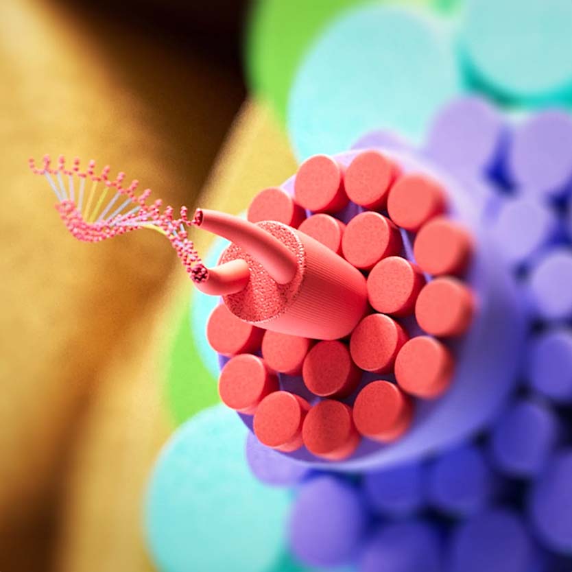 Regenerace vasů s K18