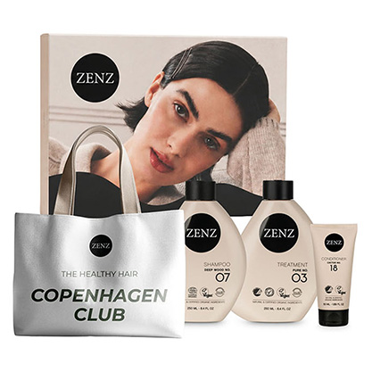 Zenz SIlver Set