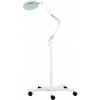 Lampa lupa dermatologiczna kosmetyczna regulowany do rzes paznokci 10W LED Marka Calissimo