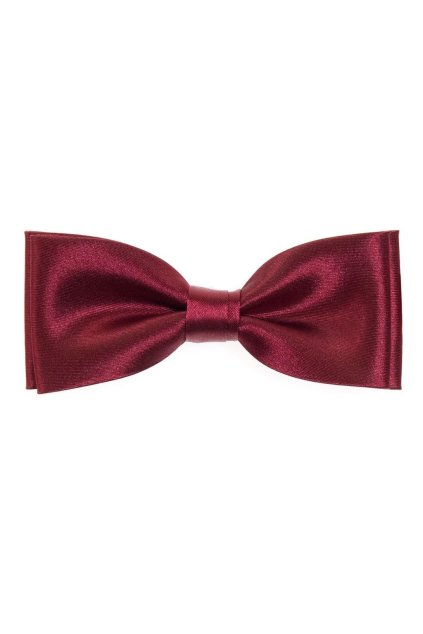 motylek s kapesnickem bordo