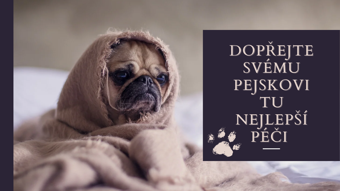 Do domácnosti
