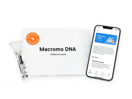Macromo DNA Family