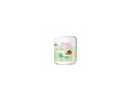 Lady Stella - Antioxidačná šípková pleťová maska 200 ml