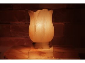 Solná elektrická lampa Tulipán