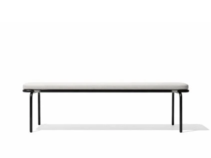 Lavice "Starling" Todus