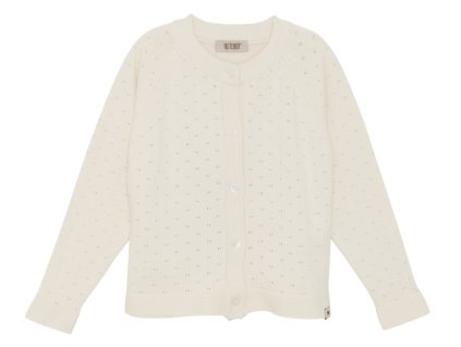 Bez názvu (1090 x 790 px) 2026 01 06T224710.033