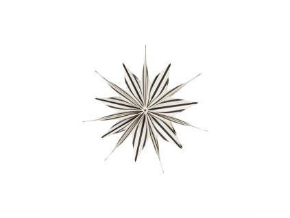 Papírová vánoční hvězda Toppu - 25 cm "White / Black" OYOY