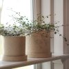 dva květináče grow creme structure od značky DBKD ve větší L a menší S variantě se zasazenými rostlinami na prosluněném parapetu