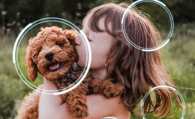 Premeňte akýkoľvek obsah na špičkové 4K s technológiou 4K AI Upscaling Pro