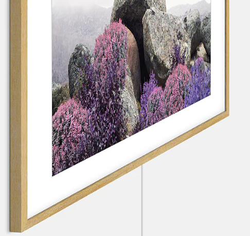 SAMSUNG QE55LS03B