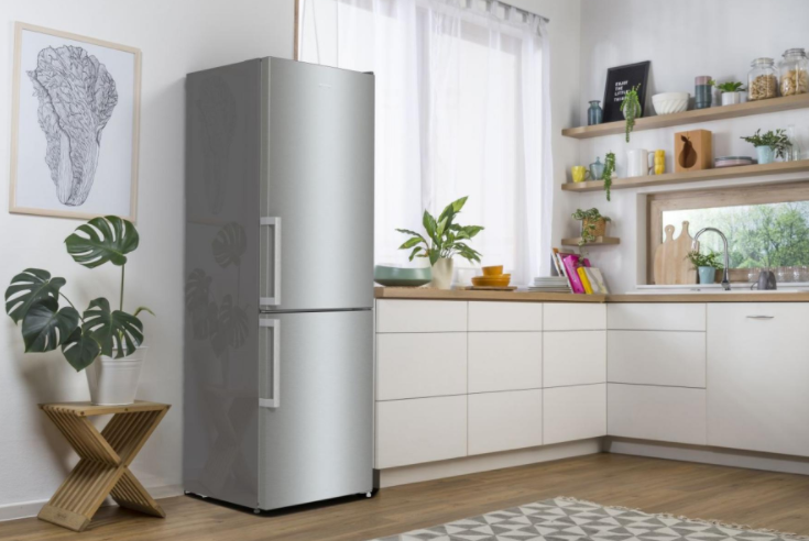 GORENJE RK6192EXL5F kombinovaná chladnička s mrazničkou 