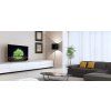 LG OLED55A1 (2021) SMART TV
