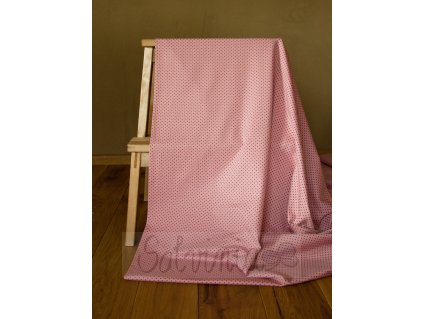 stenzorůžovýčernýpuntík1