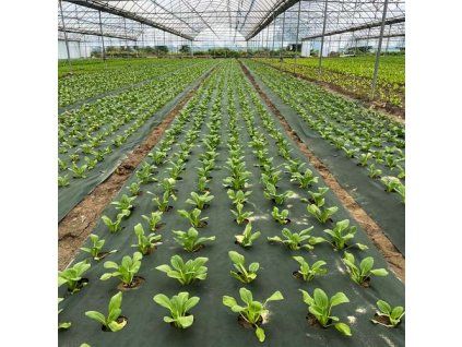 fa7efcb7e7b85df192fd965262a588ae