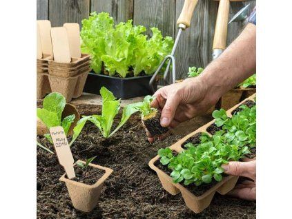 c056e75e1386c7f2d8275d42fd4f3cd8