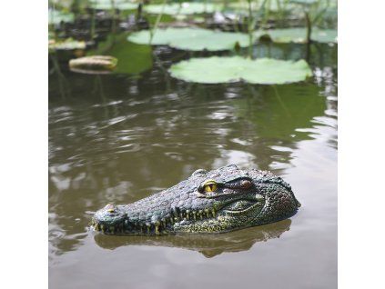 417a4086f0acd9700915e8b83c03b411