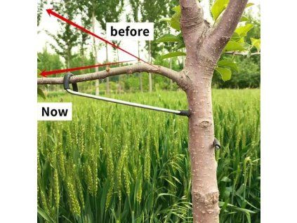 7880e9c19c9851c2fe754b8a73cb4beb