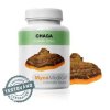 CHAGA