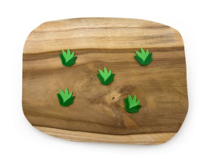 krmení ovce