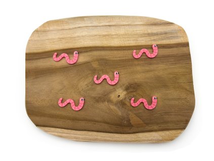 krmení slepička